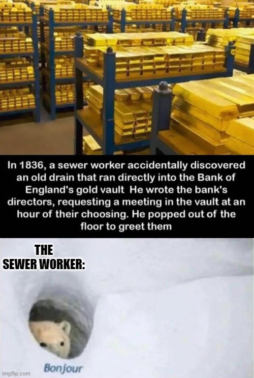 THE SEWER WORKER: | image tagged in bonjour bear | made w/ Imgflip meme maker