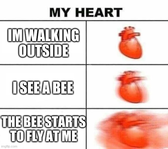 #bee #fears #heart | IM WALKING OUTSIDE; I SEE A BEE; THE BEE STARTS TO FLY AT ME | image tagged in my heart blank | made w/ Imgflip meme maker