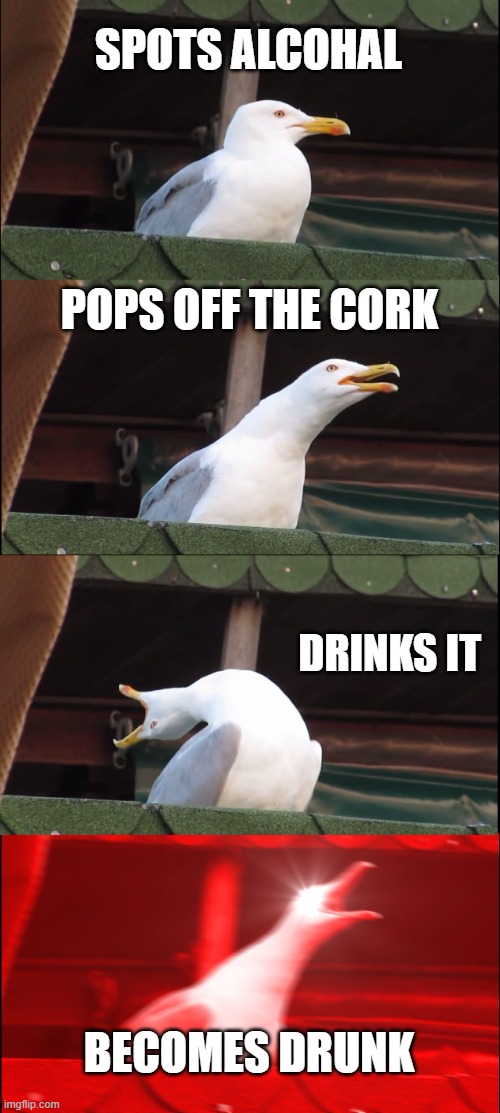 Inhaling Seagull | SPOTS ALCOHAL; POPS OFF THE CORK; DRINKS IT; BECOMES DRUNK | image tagged in memes,inhaling seagull | made w/ Imgflip meme maker