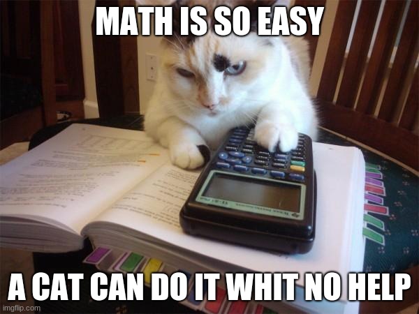 Math cat | MATH IS SO EASY; A CAT CAN DO IT WHIT NO HELP | image tagged in math cat | made w/ Imgflip meme maker