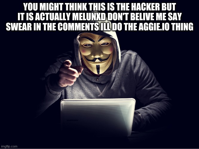 YOU MIGHT THINK THIS IS THE HACKER BUT IT IS ACTUALLY MELUNXD DON'T BELIVE ME SAY SWEAR IN THE COMMENTS ILL DO THE AGGIE.IO THING | made w/ Imgflip meme maker