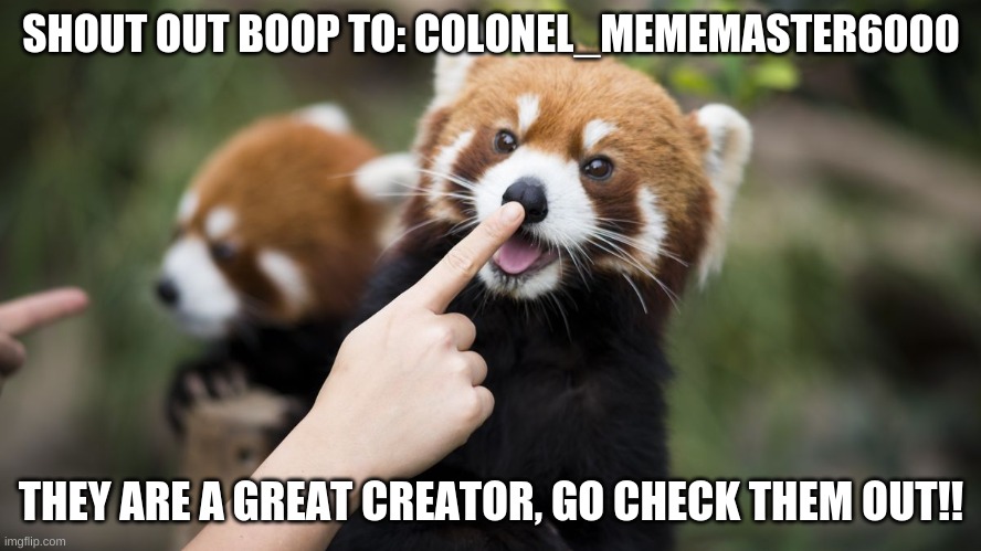 https://imgflip.com/user/Colonel_mememaster6000 | SHOUT OUT BOOP TO: COLONEL_MEMEMASTER6000; THEY ARE A GREAT CREATOR, GO CHECK THEM OUT!! | image tagged in boop,shout out | made w/ Imgflip meme maker
