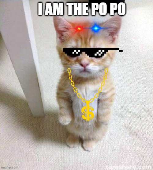 Cute Cat | I AM THE PO PO | image tagged in memes,cute cat | made w/ Imgflip meme maker