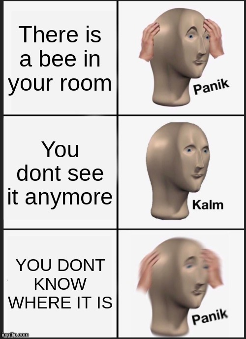 SEND HELP | There is a bee in your room; You dont see it anymore; YOU DONT KNOW WHERE IT IS | image tagged in memes,panik kalm panik | made w/ Imgflip meme maker