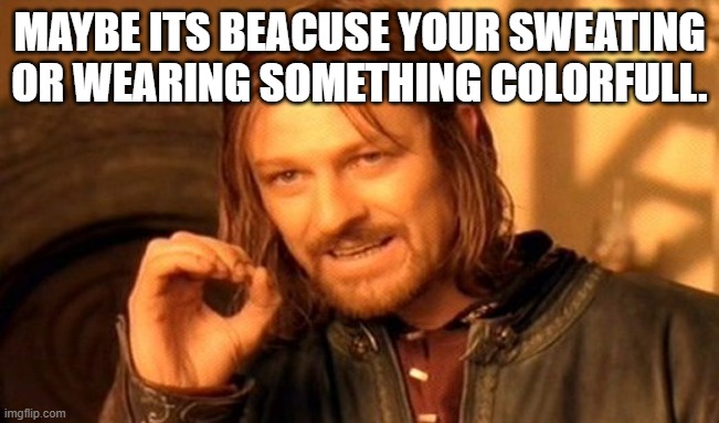 One Does Not Simply Meme | MAYBE ITS BEACUSE YOUR SWEATING OR WEARING SOMETHING COLORFULL. | image tagged in memes,one does not simply | made w/ Imgflip meme maker