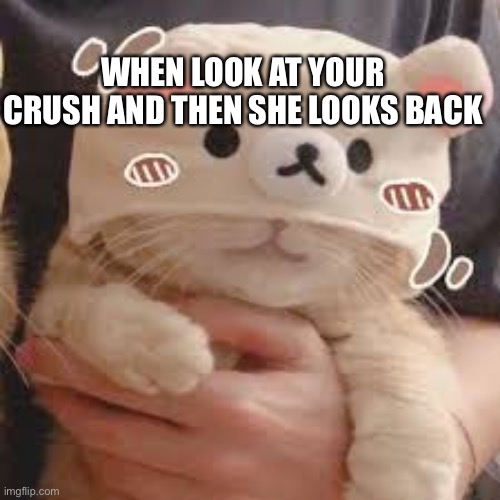 Crush hiding | WHEN LOOK AT YOUR CRUSH AND THEN SHE LOOKS BACK | image tagged in cat mask | made w/ Imgflip meme maker