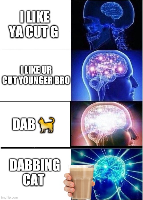 Expanding Brain Meme | I LIKE YA CUT G I LIKE UR CUT YOUNGER BRO DAB ? DABBING CAT | image tagged in memes,expanding brain | made w/ Imgflip meme maker