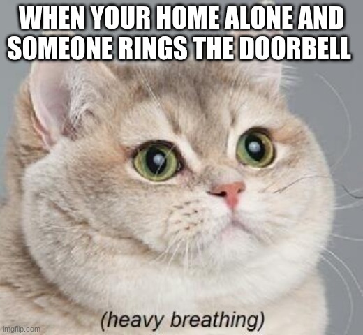 Home alone | WHEN YOUR HOME ALONE AND SOMEONE RINGS THE DOORBELL | image tagged in memes,heavy breathing cat | made w/ Imgflip meme maker