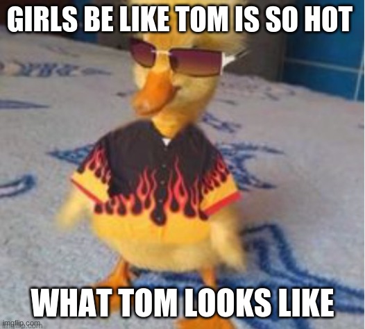 GIRLS BE LIKE TOM IS SO HOT; WHAT TOM LOOKS LIKE | image tagged in tom and jerry | made w/ Imgflip meme maker