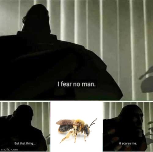 WHY WONT IT LEAVE ME ALONE | image tagged in i fear no man | made w/ Imgflip meme maker