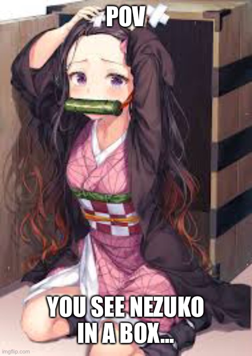 RP anyone | POV; YOU SEE NEZUKO IN A BOX... | made w/ Imgflip meme maker