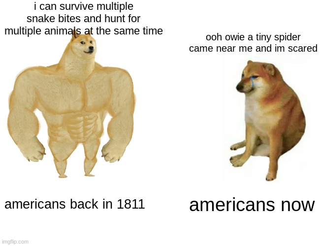 its deppressingly correct | i can survive multiple snake bites and hunt for multiple animals at the same time; ooh owie a tiny spider came near me and im scared; americans back in 1811; americans now | image tagged in memes,buff doge vs cheems | made w/ Imgflip meme maker