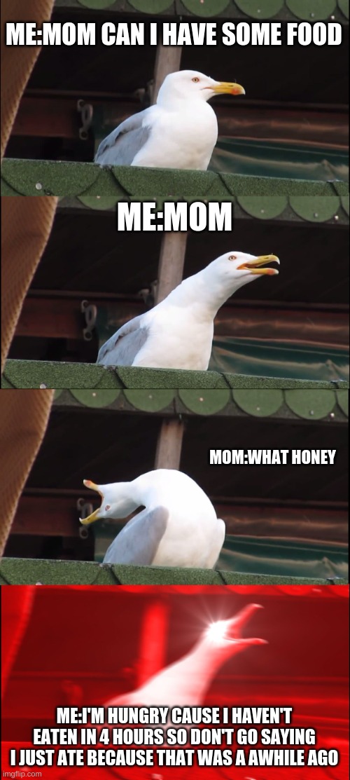 Inhaling Seagull Meme | ME:MOM CAN I HAVE SOME FOOD; ME:MOM; MOM:WHAT HONEY; ME:I'M HUNGRY CAUSE I HAVEN'T EATEN IN 4 HOURS SO DON'T GO SAYING I JUST ATE BECAUSE THAT WAS A AWHILE AGO | image tagged in memes,inhaling seagull | made w/ Imgflip meme maker