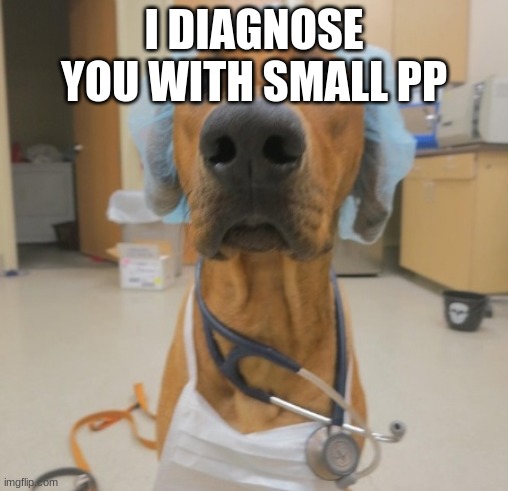 Doc is always right | I DIAGNOSE YOU WITH SMALL PP | image tagged in dog doctor | made w/ Imgflip meme maker