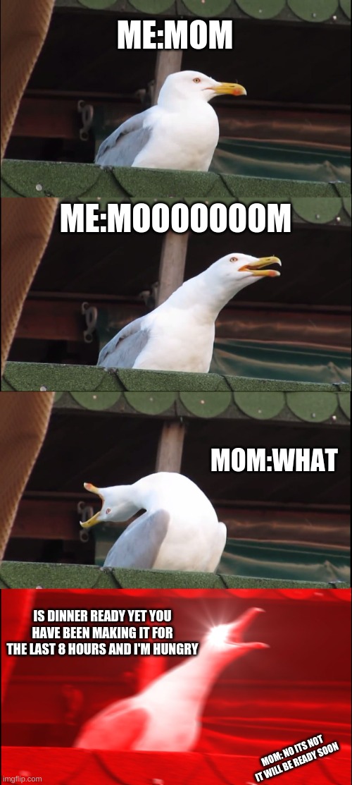 I swear moms do this every time | ME:MOM; ME:MOOOOOOOM; MOM:WHAT; IS DINNER READY YET YOU HAVE BEEN MAKING IT FOR THE LAST 8 HOURS AND I'M HUNGRY; MOM: NO ITS NOT IT WILL BE READY SOON | image tagged in memes,inhaling seagull | made w/ Imgflip meme maker