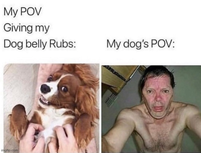 my first pov meme | image tagged in pov,lol,memes,funny memes,lol so funny,best memes | made w/ Imgflip meme maker