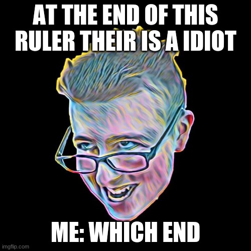 AT THE END OF THIS RULER THEIR IS A IDIOT; ME: WHICH END | image tagged in funny memes | made w/ Imgflip meme maker