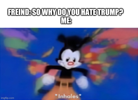 Why I hate Trump | FREIND: SO WHY DO YOU HATE TRUMP? 
ME: | image tagged in yakko inhale | made w/ Imgflip meme maker