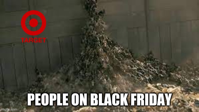 Black Friday | PEOPLE ON BLACK FRIDAY | image tagged in over the wall | made w/ Imgflip meme maker