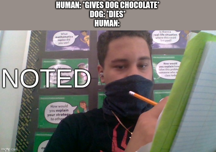 HUMAN: *GIVES DOG CHOCOLATE*
DOG: *DIES*
HUMAN: | image tagged in 7 grand memer 64 noted,memes,funny | made w/ Imgflip meme maker