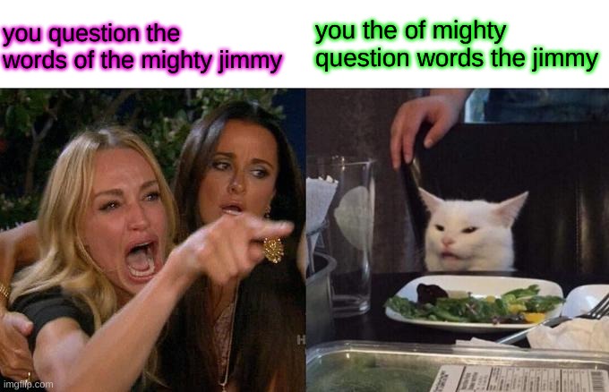 Woman Yelling At Cat Meme | you question the words of the mighty jimmy you the of mighty question words the jimmy | image tagged in memes,woman yelling at cat | made w/ Imgflip meme maker