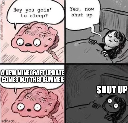 Minecraft Keeps You Awake | UPVOTE IF YU CAN READ THIS; A NEW MINECRAFT UPDATE COMES OUT THIS SUMMER; SHUT UP | image tagged in waking up brain | made w/ Imgflip meme maker