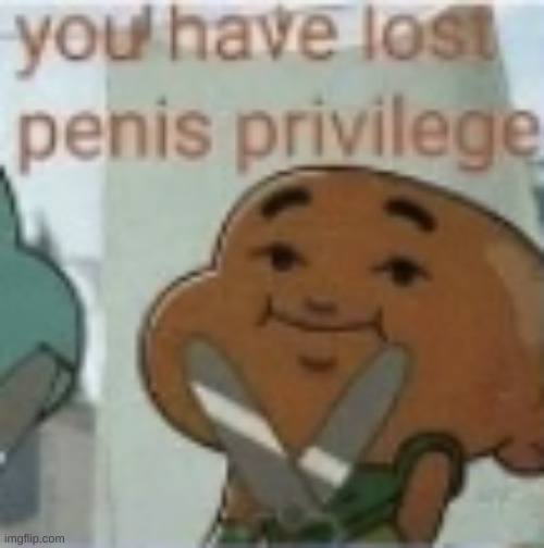You have lost penis privilege | image tagged in you have lost penis privilege | made w/ Imgflip meme maker