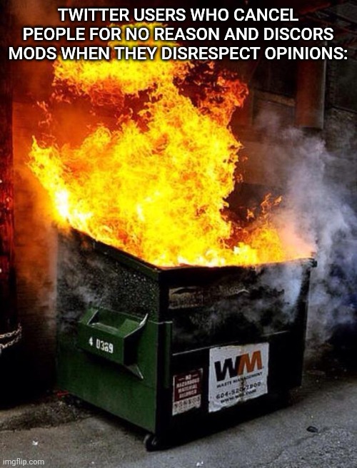 Dumpster Fire | TWITTER USERS WHO CANCEL PEOPLE FOR NO REASON AND DISCORS MODS WHEN THEY DISRESPECT OPINIONS: | image tagged in dumpster fire | made w/ Imgflip meme maker