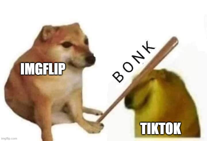 bonk | IMGFLIP; TIKTOK | image tagged in doge bonk | made w/ Imgflip meme maker