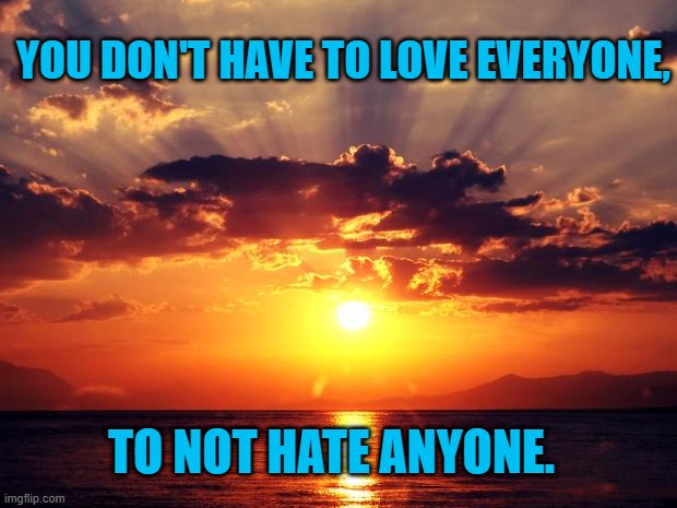 Live And Let Live. | YOU DON'T HAVE TO LOVE EVERYONE, TO NOT HATE ANYONE. | image tagged in politics | made w/ Imgflip meme maker