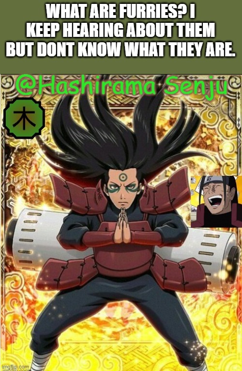 hashirama temp 1 | WHAT ARE FURRIES? I KEEP HEARING ABOUT THEM BUT DONT KNOW WHAT THEY ARE. | image tagged in hashirama temp 1 | made w/ Imgflip meme maker