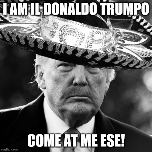 il Donaldo Trumpo | I AM IL DONALDO TRUMPO; COME AT ME ESE! | image tagged in donald trump,il donaldo trumpo | made w/ Imgflip meme maker