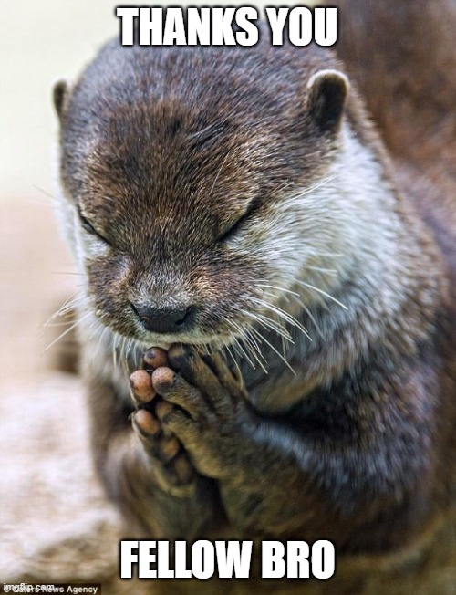 Thank you Lord Otter | THANKS YOU FELLOW BRO | image tagged in thank you lord otter | made w/ Imgflip meme maker