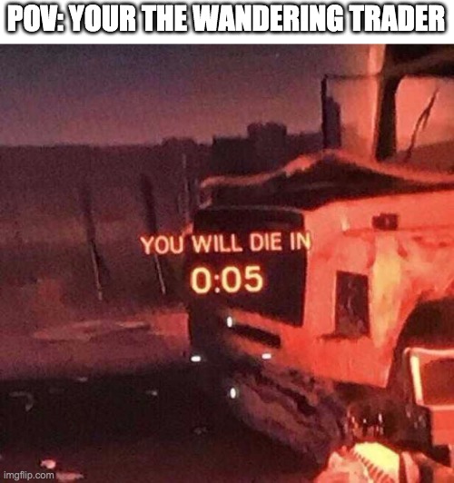 Wandering Trader RIP :'( | POV: YOUR THE WANDERING TRADER | image tagged in you will die in 0 05 | made w/ Imgflip meme maker