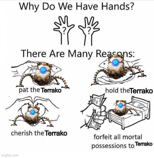 Why do we have hands | Terrako; Terrako; Terrako; Terrako | image tagged in why do we have hands | made w/ Imgflip meme maker