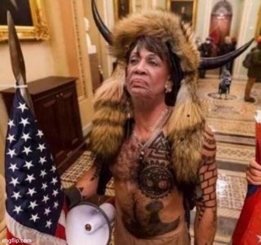 Mad Max | image tagged in mad max,maxine waters,impeach,ugly,witch | made w/ Imgflip meme maker