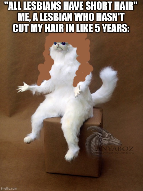 Persian Cat Room Guardian Single | "ALL LESBIANS HAVE SHORT HAIR"
ME, A LESBIAN WHO HASN'T CUT MY HAIR IN LIKE 5 YEARS: | image tagged in memes,persian cat room guardian single | made w/ Imgflip meme maker