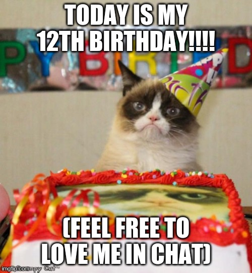 Grumpy Cat Birthday | TODAY IS MY 12TH BIRTHDAY!!!! (FEEL FREE TO LOVE ME IN CHAT) | image tagged in memes,grumpy cat birthday,grumpy cat | made w/ Imgflip meme maker