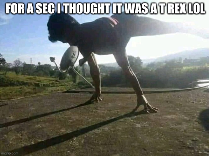 trippy img | FOR A SEC I THOUGHT IT WAS A T REX LOL | image tagged in dinosaur,yoga,memes,funny memes,lol,lol so funny | made w/ Imgflip meme maker
