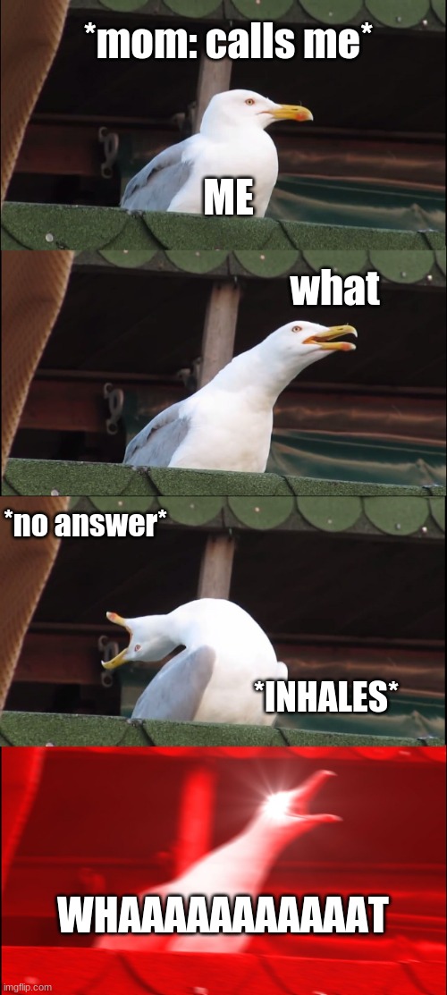 don't look at this title........................................................................................................ | *mom: calls me*; ME; what; *no answer*; *INHALES*; WHAAAAAAAAAAAT | image tagged in memes,inhaling seagull | made w/ Imgflip meme maker
