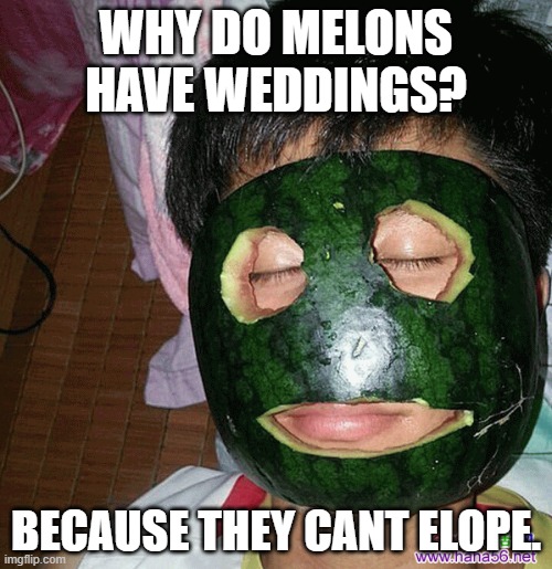 DAD JOKES | WHY DO MELONS HAVE WEDDINGS? BECAUSE THEY CANT ELOPE. | image tagged in bad joke,dad joke,watermelon | made w/ Imgflip meme maker