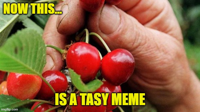 Cherry Picker | NOW THIS... IS A TASY MEME | image tagged in cherry picker | made w/ Imgflip meme maker