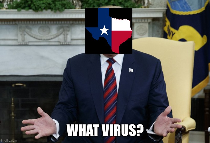 Who Knew? | WHAT VIRUS? | image tagged in who knew | made w/ Imgflip meme maker