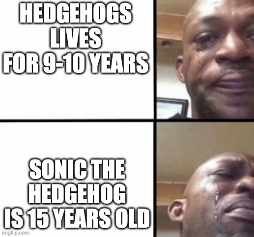 Crying Guy/Devastated Guy | HEDGEHOGS LIVES FOR 9-10 YEARS; SONIC THE HEDGEHOG IS 15 YEARS OLD | image tagged in crying guy/devastated guy | made w/ Imgflip meme maker