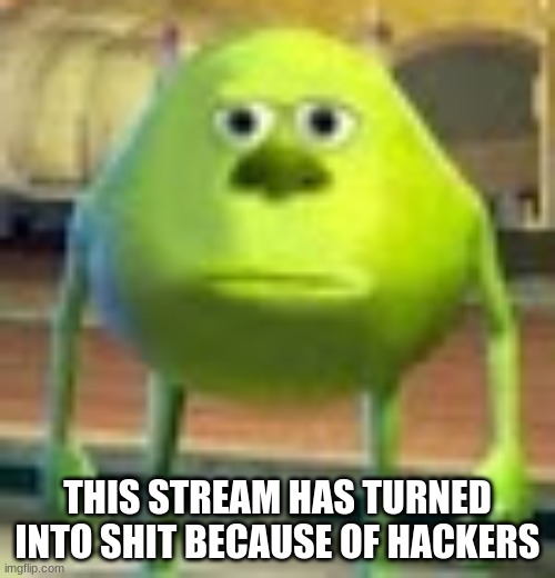 Before It Was Good But Now...  We Need To Make It Peaceful Again | THIS STREAM HAS TURNED INTO SHIT BECAUSE OF HACKERS | image tagged in sully wazowski | made w/ Imgflip meme maker