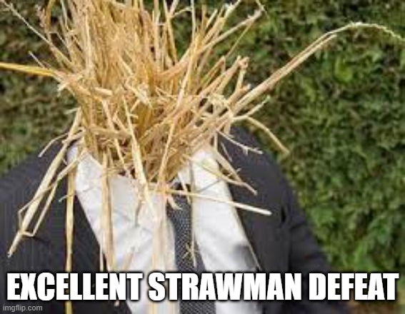 strawman | EXCELLENT STRAWMAN DEFEAT | image tagged in strawman | made w/ Imgflip meme maker