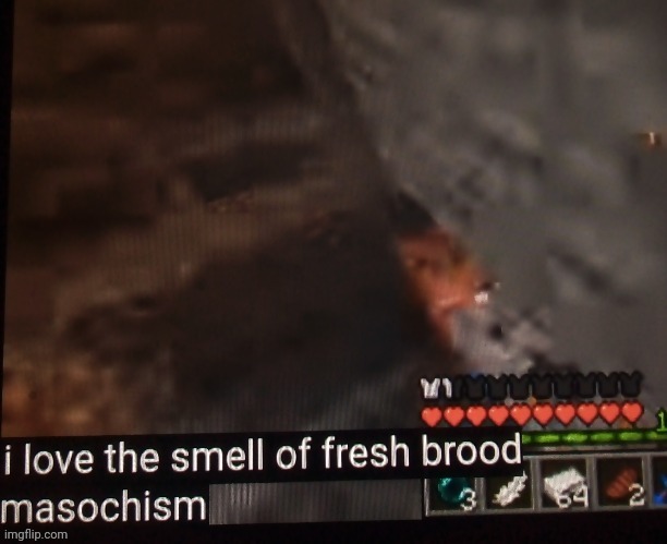 New temp | image tagged in i love the smell of fresh brood masochism | made w/ Imgflip meme maker