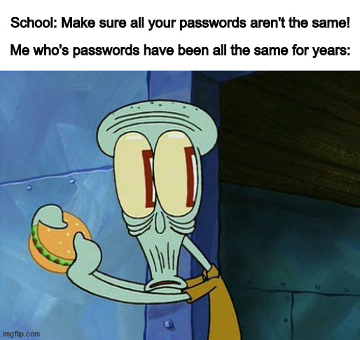 Lmfao, my gmail, imgflip, instagram, facebook, you name it all have the same password XD | School: Make sure all your passwords aren't the same! Me who's passwords have been all the same for years: | image tagged in blank white template,oh shit squidward | made w/ Imgflip meme maker