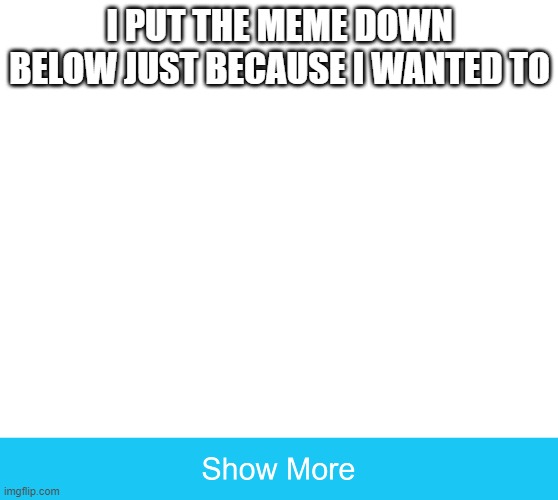 show more | I PUT THE MEME DOWN BELOW JUST BECAUSE I WANTED TO | image tagged in show more | made w/ Imgflip meme maker