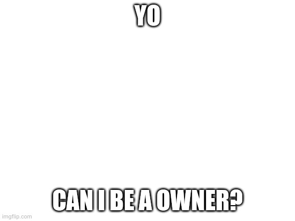 Blank White Template | YO; CAN I BE A OWNER? | image tagged in blank white template | made w/ Imgflip meme maker